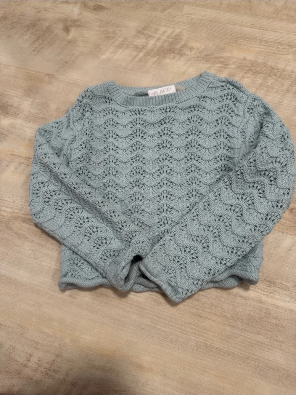 The Children's Place Light Blue Cropped Lace-Knit Sweater